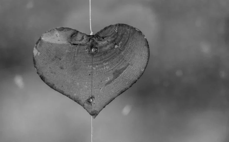 Porozumienie bez Przemocy to za mało. Dlaczego wiedza bez czucia nie działa